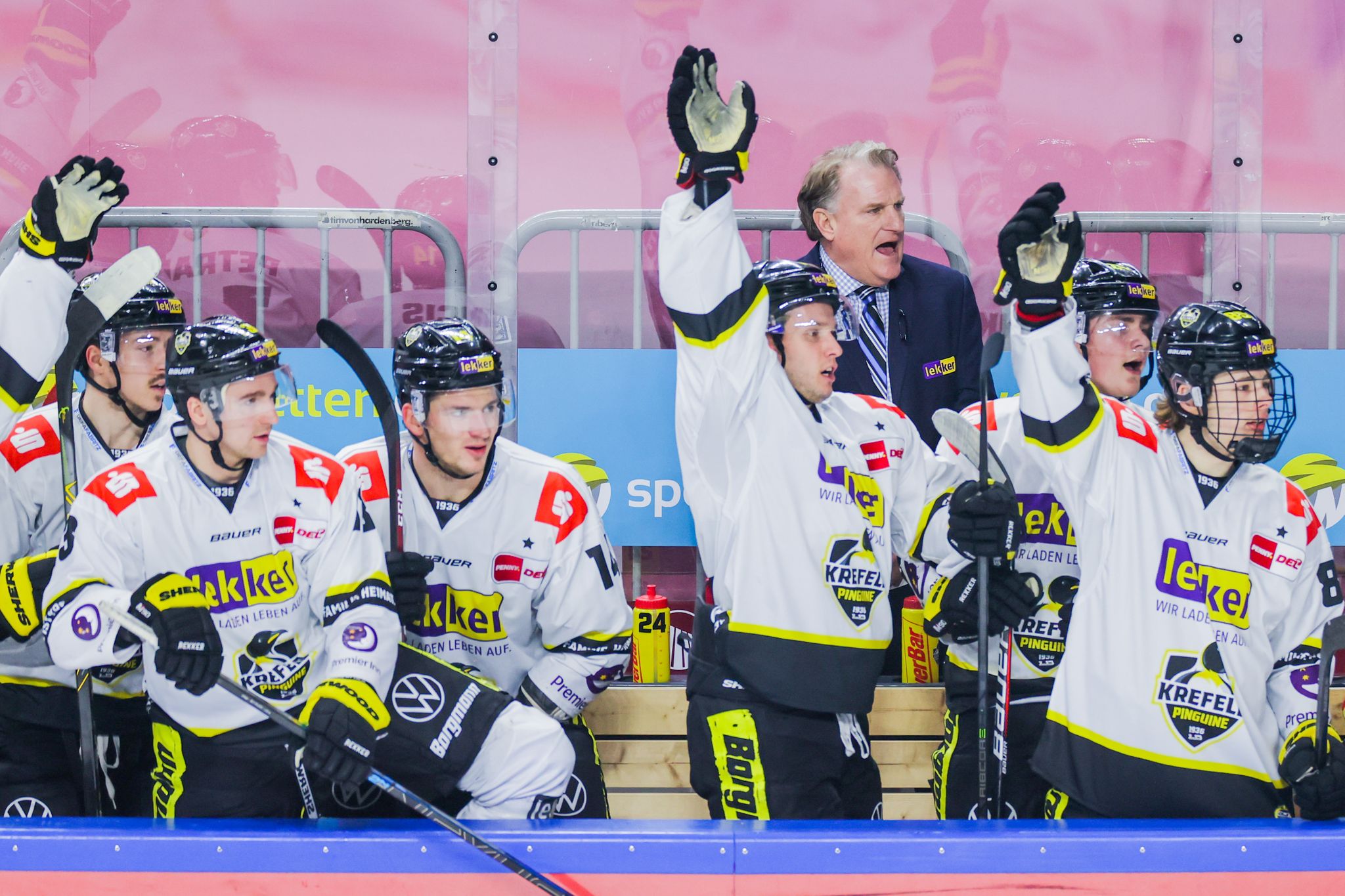 Krefeld Pinguine erwägen Strafanzeige