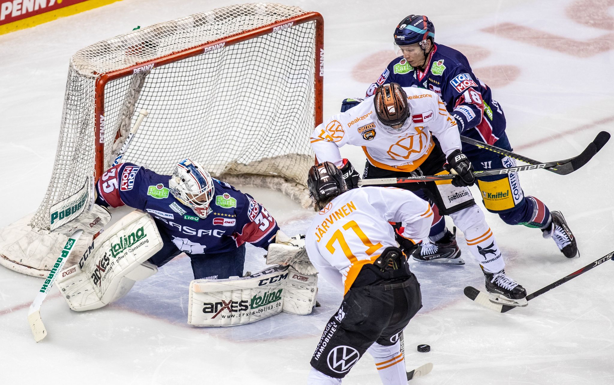 Eisbären oder Wolfsburg: Wer wird 100. deutscher Meister?