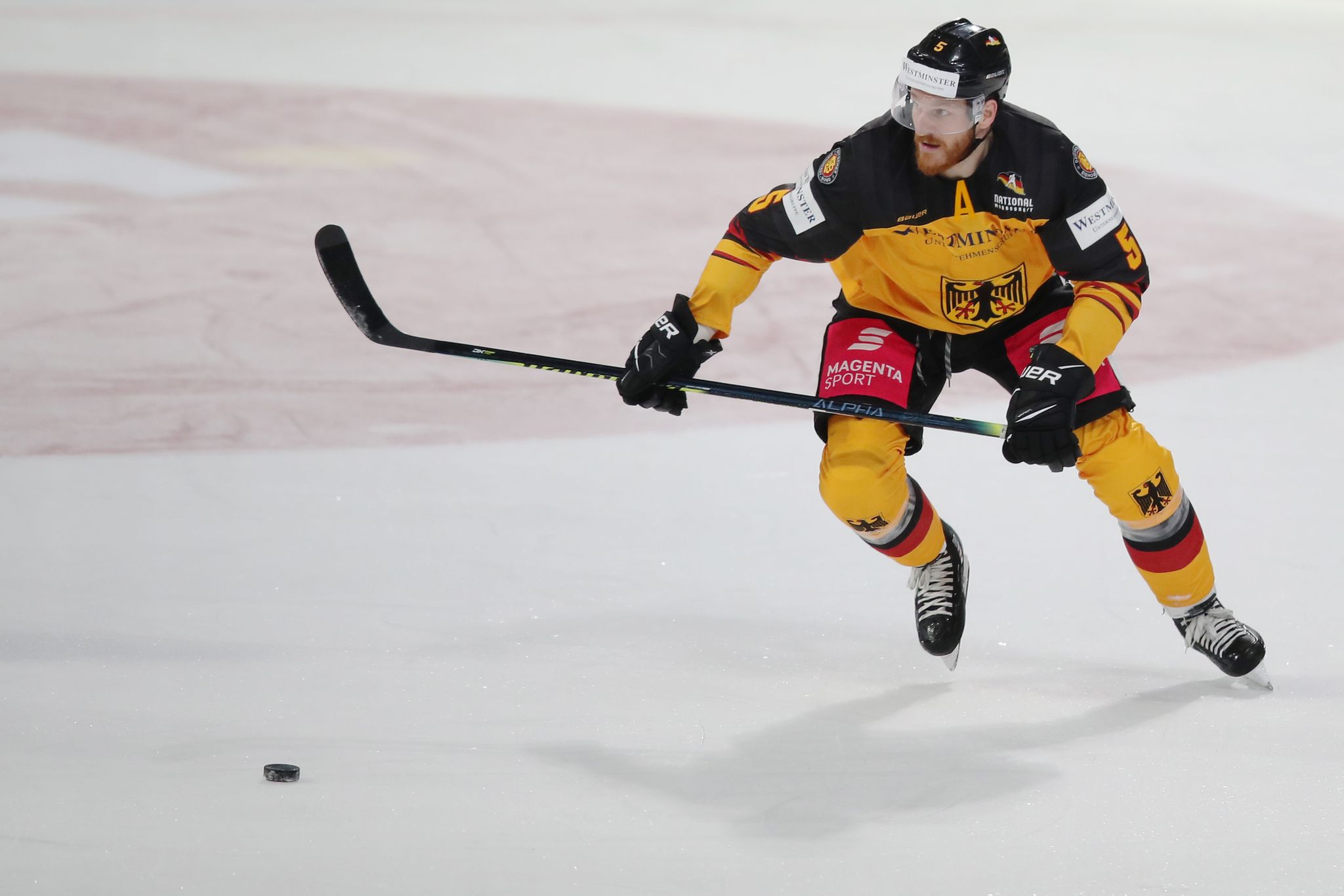 Früherer NHL-Verteidiger Holzer verstärkt Adler Mannheim
