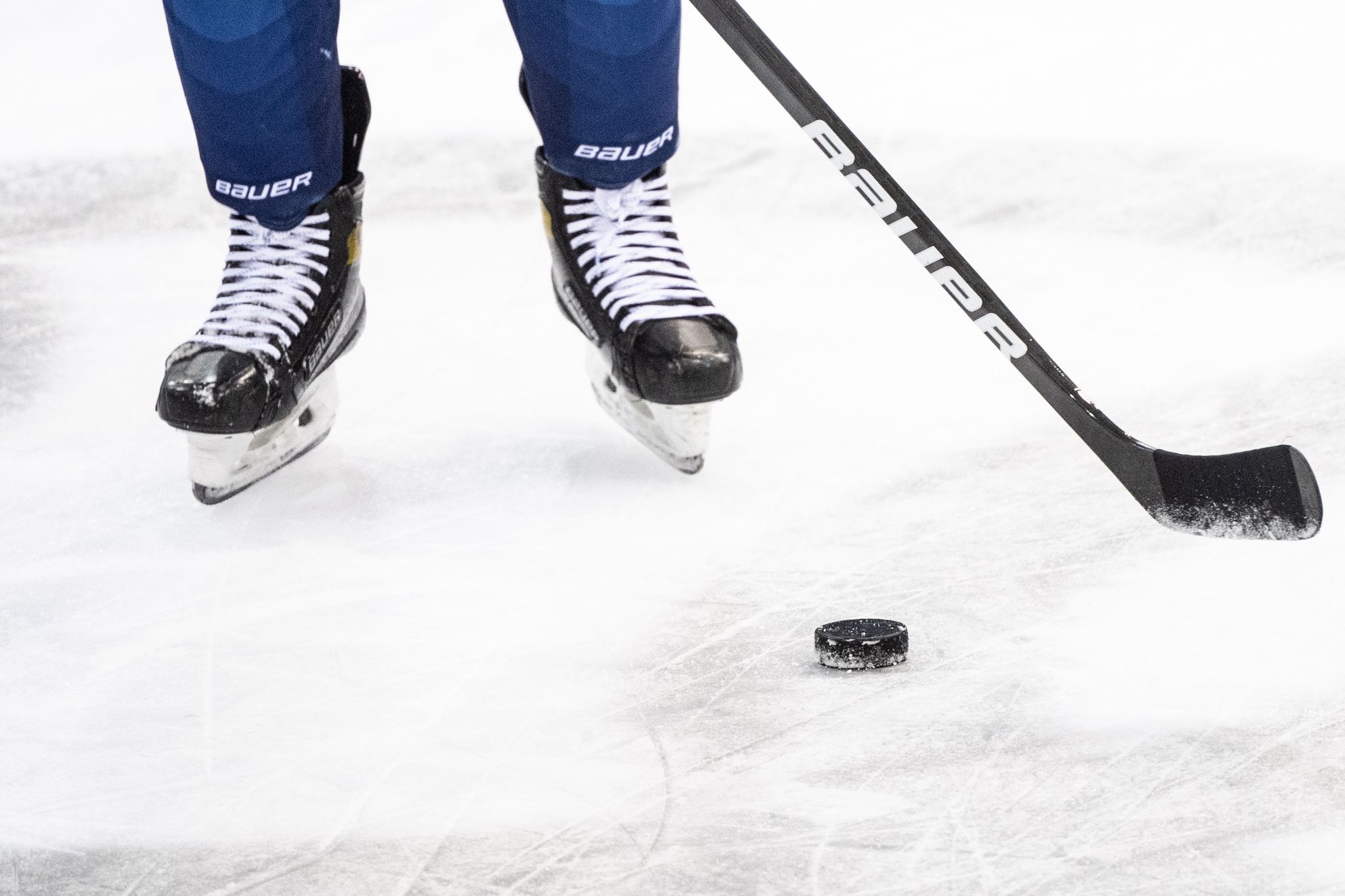 Straubing Tigers mit zwei neuen Corona-Fällen