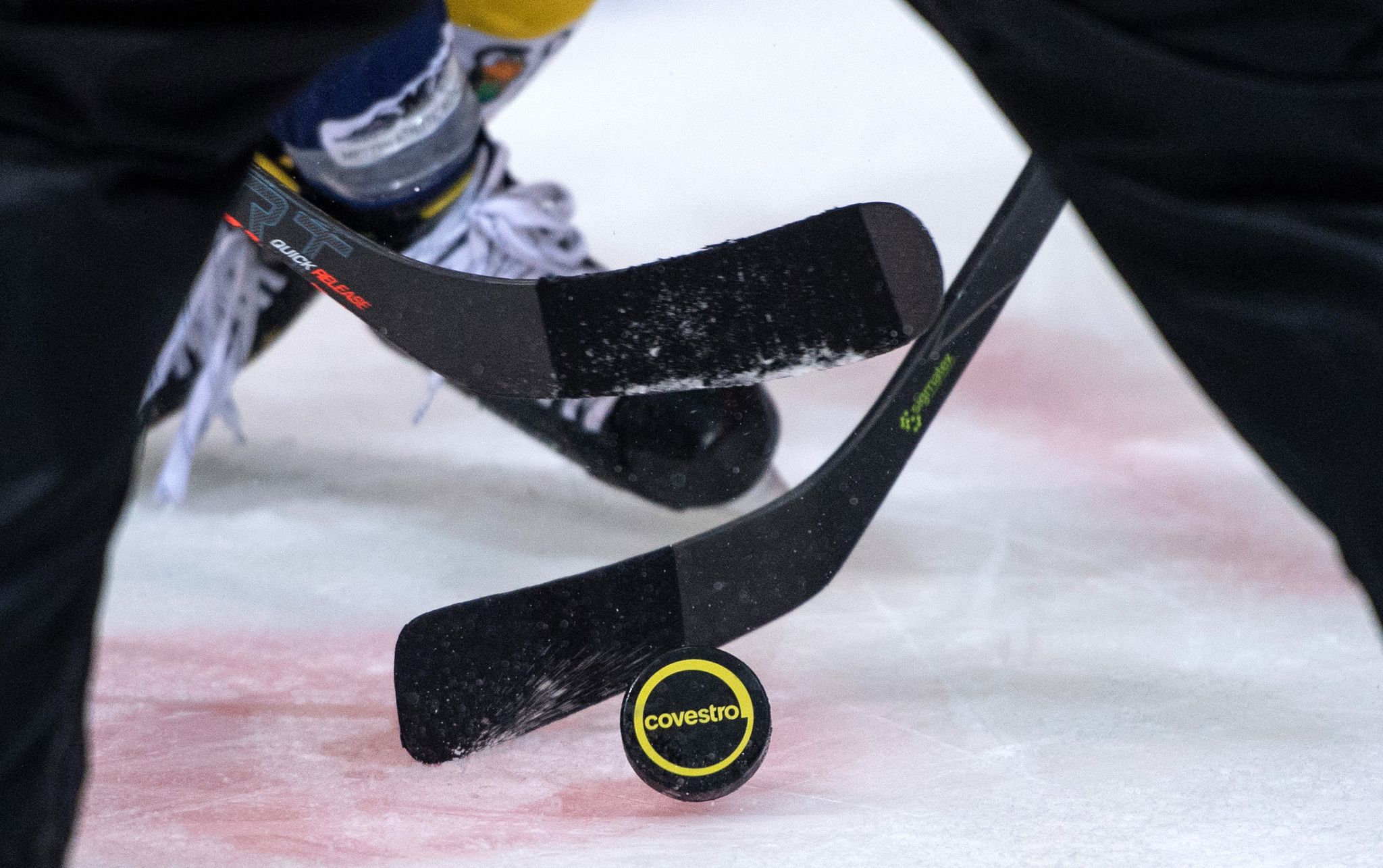 Iserlohn Roosters nach Corona-Fällen nicht spielfähig