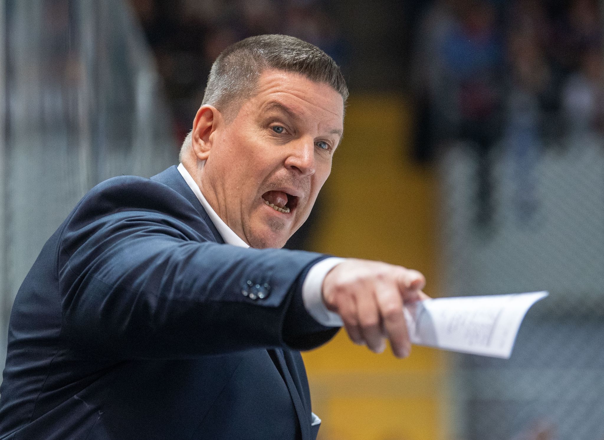Drei weitere Corona-Fälle bei den Straubing Tigers