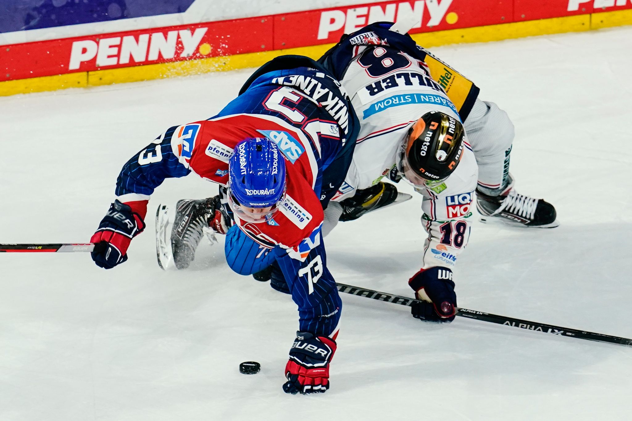 Aus der Adler Mannheim: Straubing Tigers in Champions League
