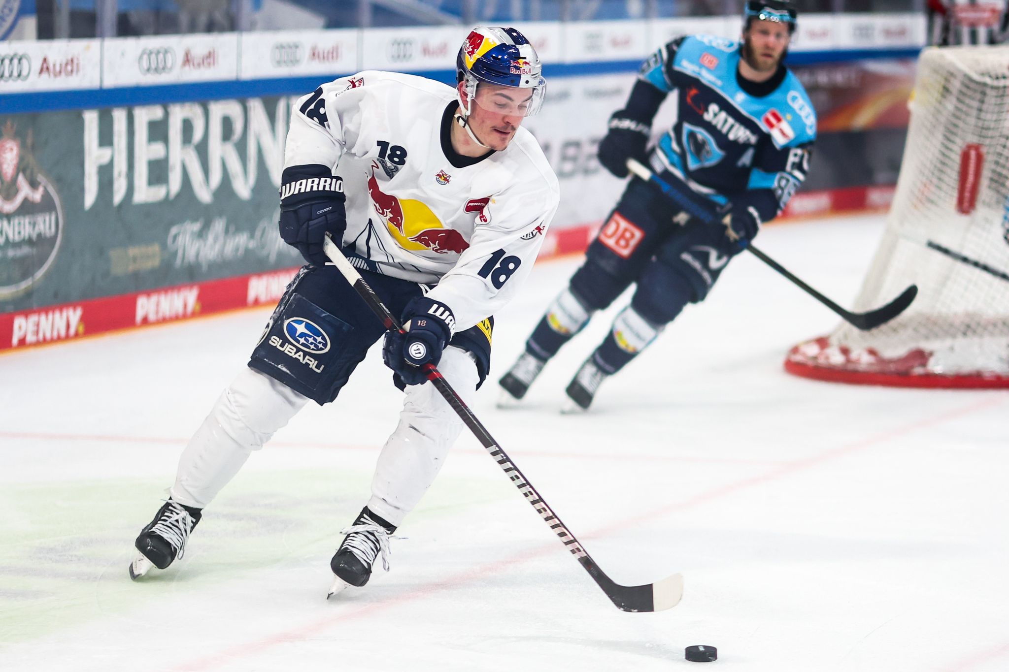 Kölner Haie verpflichten Stürmer Schütz
