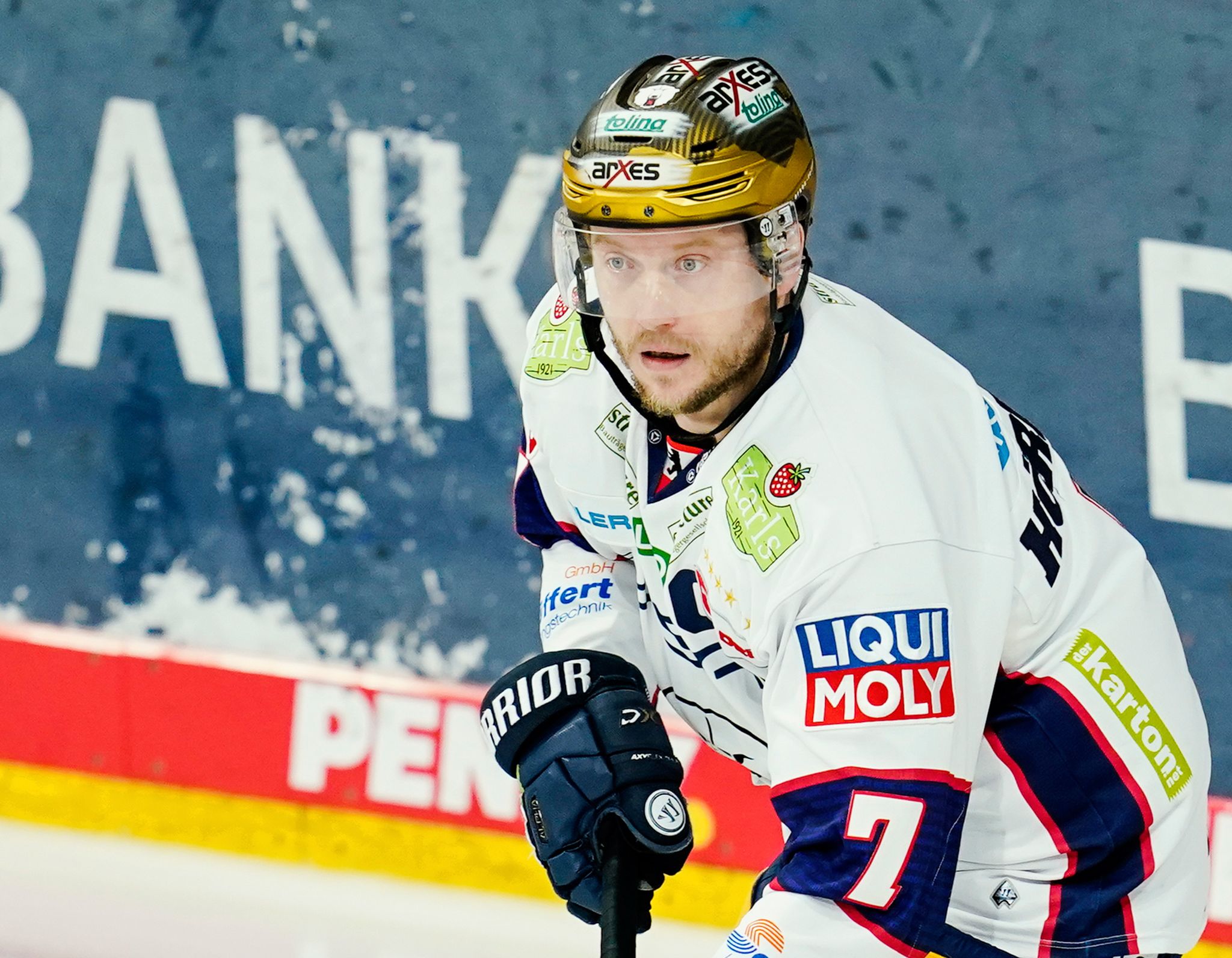 Eisbären-Kapitän Frank Hördler wechselt nach Selb