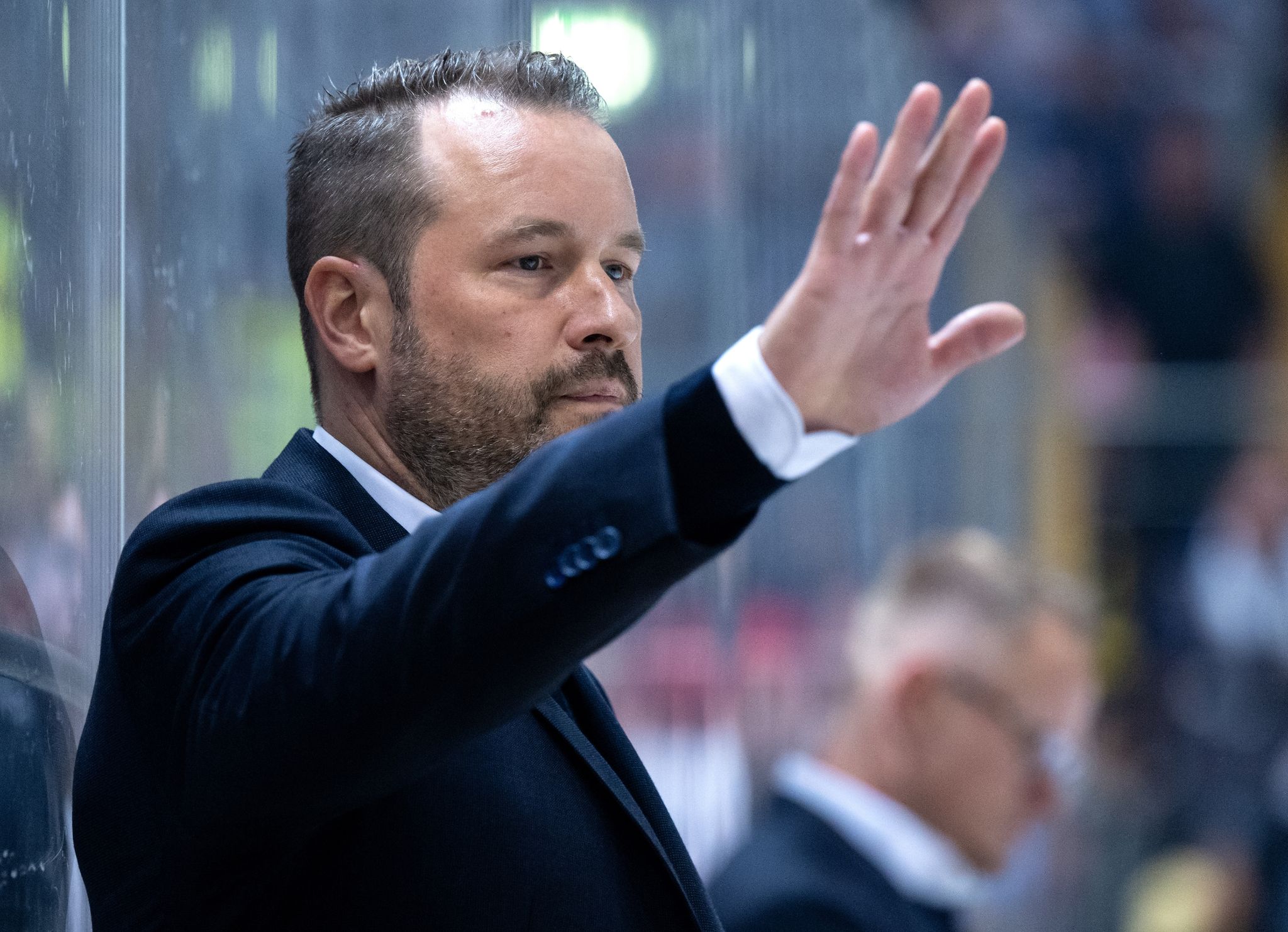 Düsseldorfer EG trennt sich von Coach Dolak