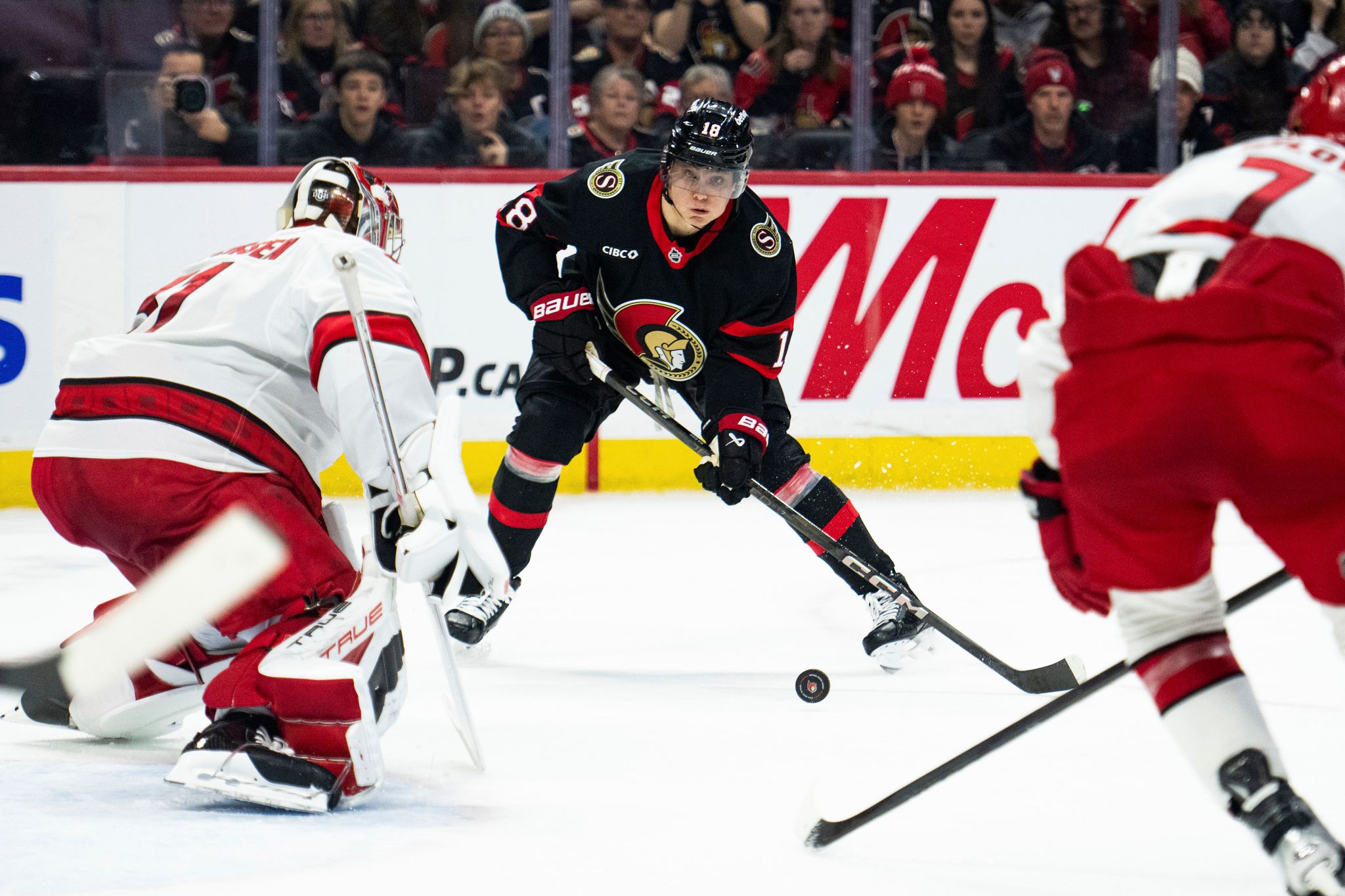 Stützle führt Ottawa zum Saisonende zu spektakulärem Sieg