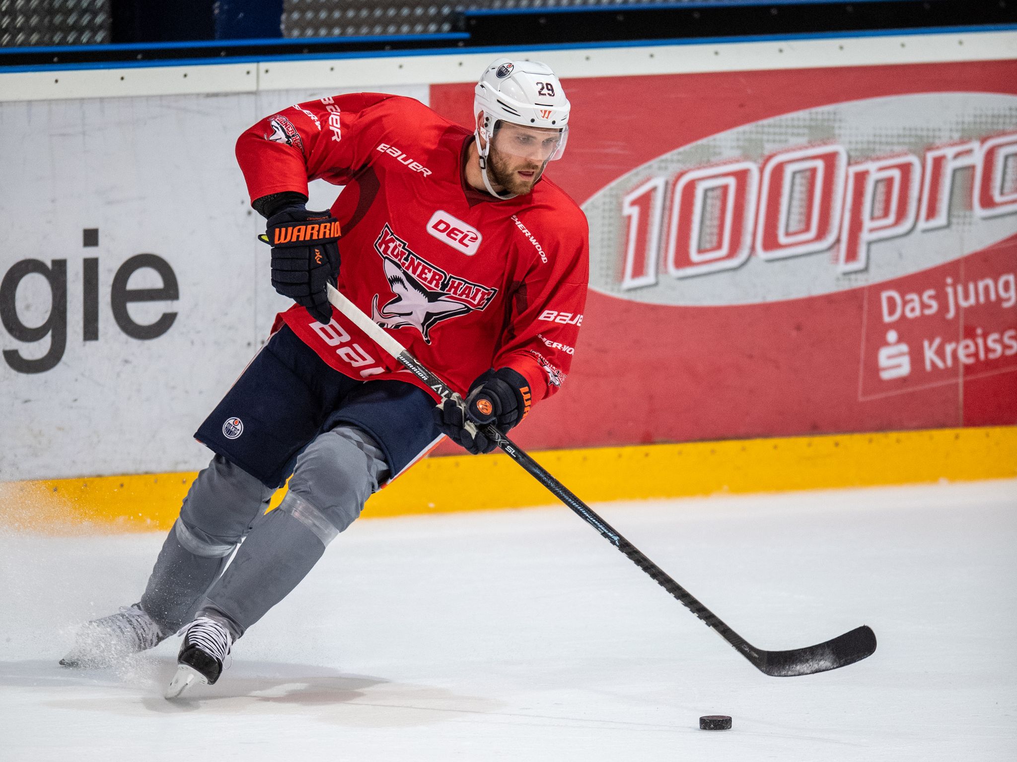 Draisaitl offen für Karriereende bei Kölner Haien