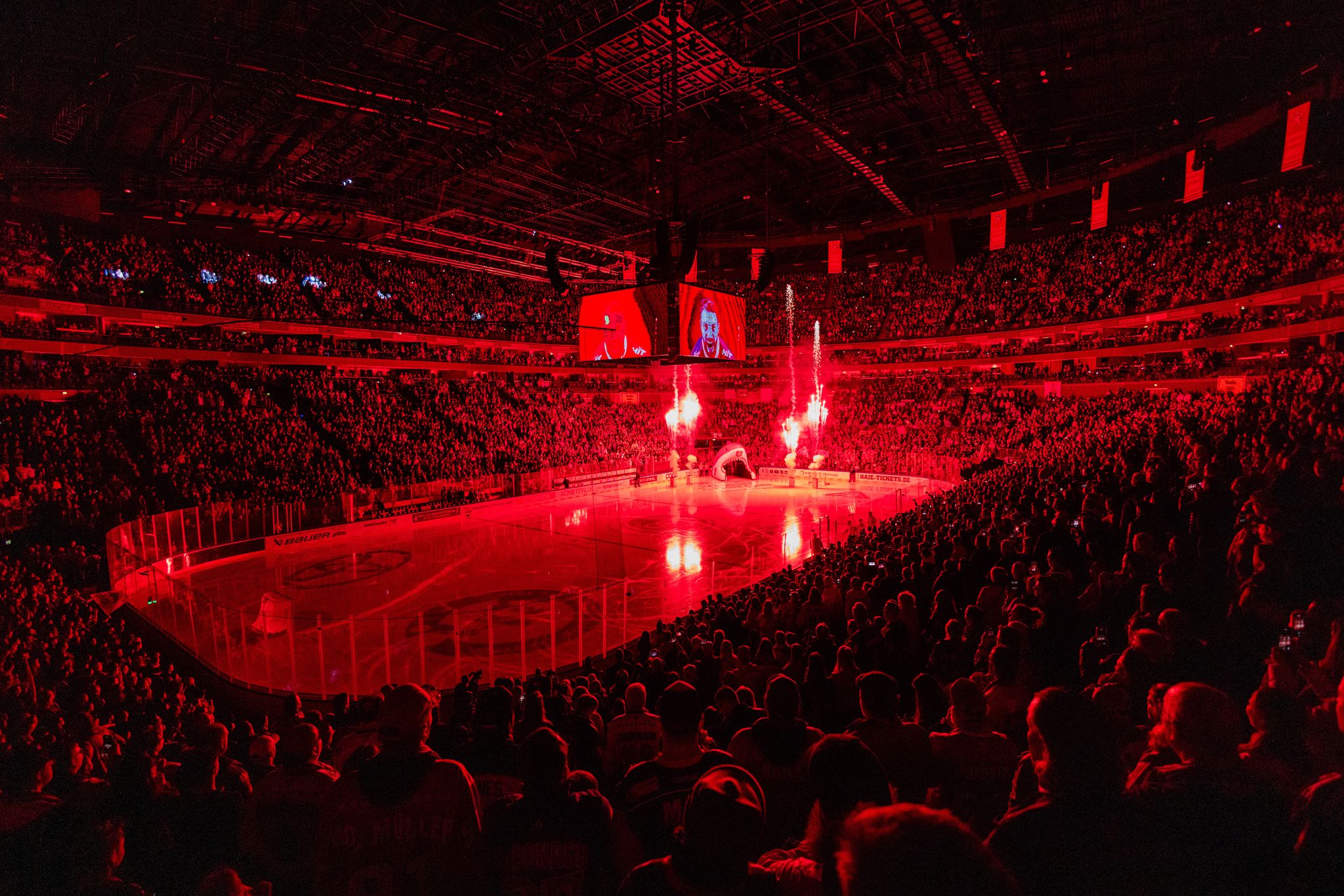 Kölner Haie brechen eigenen Zuschauerrekord
